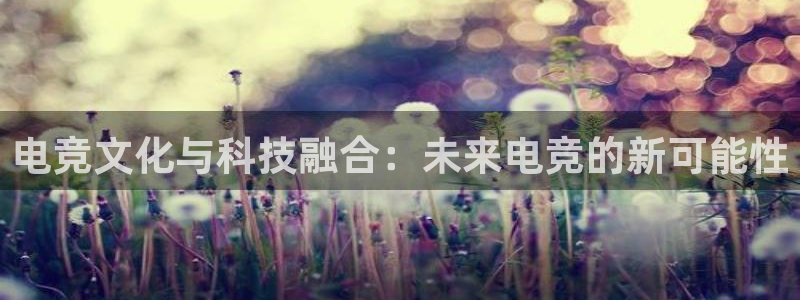 易游电竞官网：电竞文化与科技融合：未来电竞的新可能性