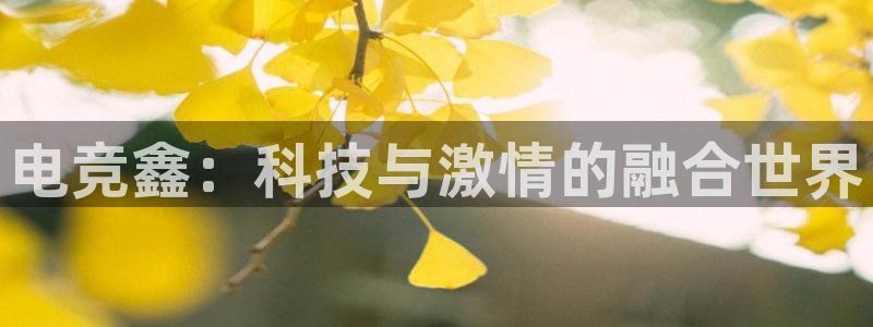 易游电竞：电竞鑫：科技与激情的融合世界