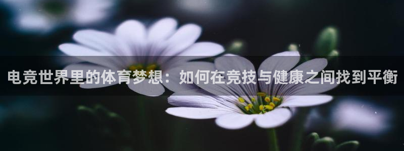 易游电竞官网：电竞世界里的体育梦想：如何在竞技与健康之间找到平衡