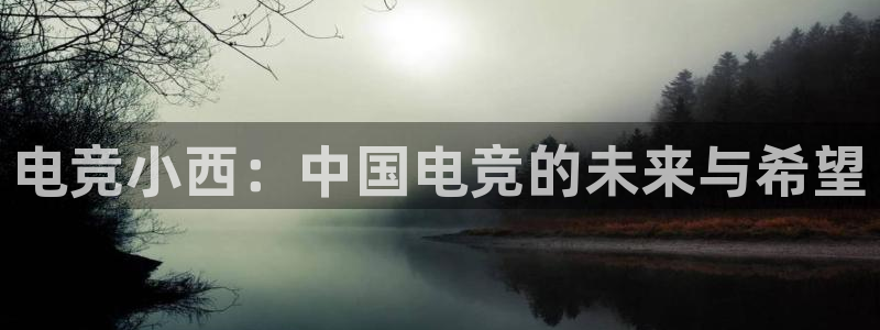 易游电竞官网：电竞小西：中国电竞的未来与希望