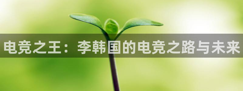 易游电竞：电竞之王：李韩国的电竞之路与未来