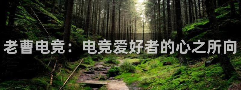易游电竞官网：老曹电竞：电竞爱好者的心之所向