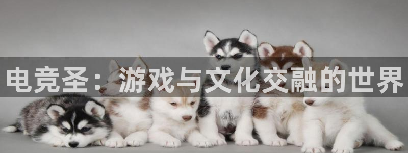 易游电竞官网：电竞圣：游戏与文化交融的世界