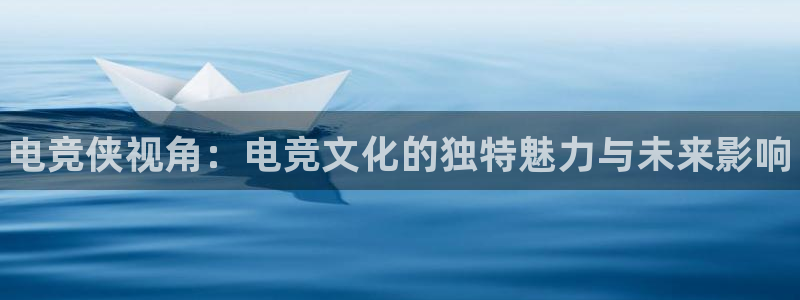 易游电竞官网：电竞侠视角：电竞文化的独特魅力与未来影响