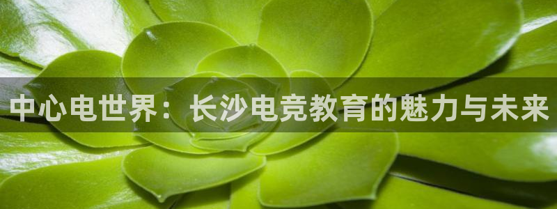 易游电竞：中心电世界：长沙电竞教育的魅力与未来