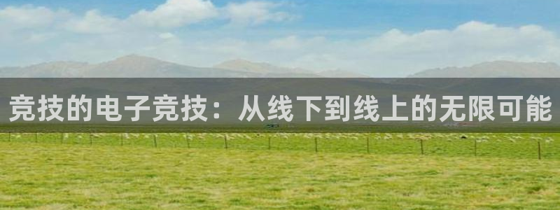易游电竞官网：竞技的电子竞技：从线下到线上的无限可能