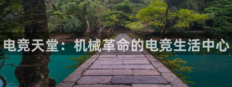 易游电竞官网：电竞天堂：机械革命的电竞生活中心