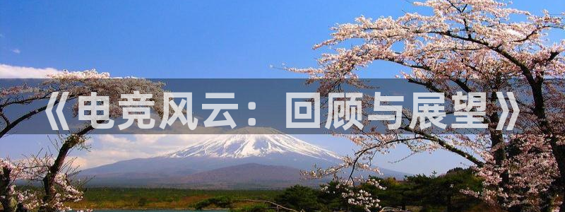 易游电竞：《电竞风云：回顾与展望》