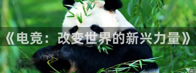 易游电竞：《电竞：改变世界的新兴力量》