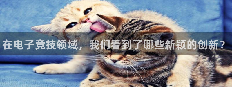 易游电竞官网：在电子竞技领域，我们看到了哪些新颖的创新？