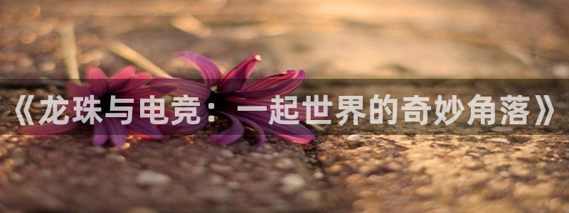 易游电竞：《龙珠与电竞：一起世界的奇妙角落》