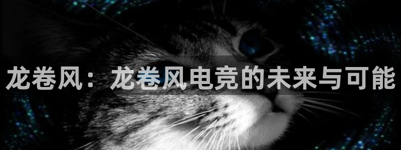 易游电竞官网：龙卷风：龙卷风电竞的未来与可能