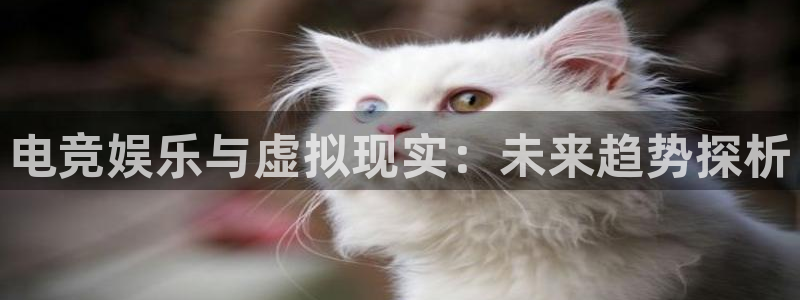易游电竞：电竞娱乐与虚拟现实：未来趋势探析