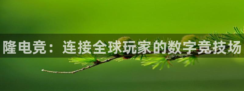 易游电竞官网：隆电竞：连接全球玩家的数字竞技场