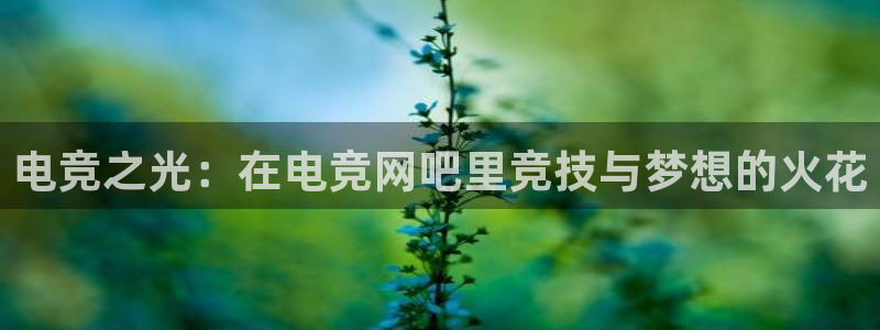 易游电竞：电竞之光：在电竞网吧里竞技与梦想的火花