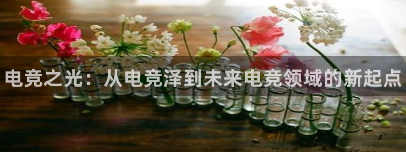 易游电竞官网：电竞之光：从电竞泽到未来电竞领域的新起点