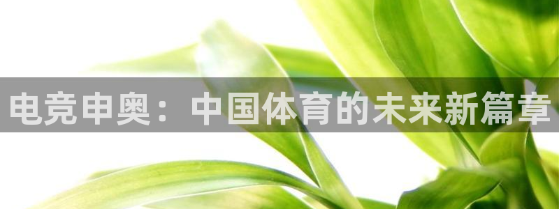 易游电竞官网：电竞申奥：中国体育的未来新篇章