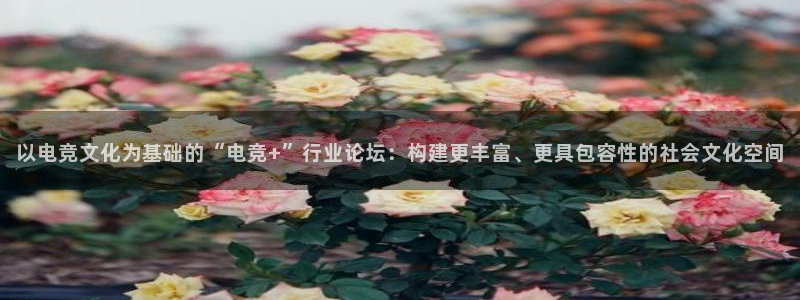 易游电竞：以电竞文化为基础的“电竞+”行业论坛：构建更丰富、更具包容性的社会文化空间