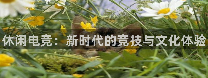 易游电竞：休闲电竞：新时代的竞技与文化体验