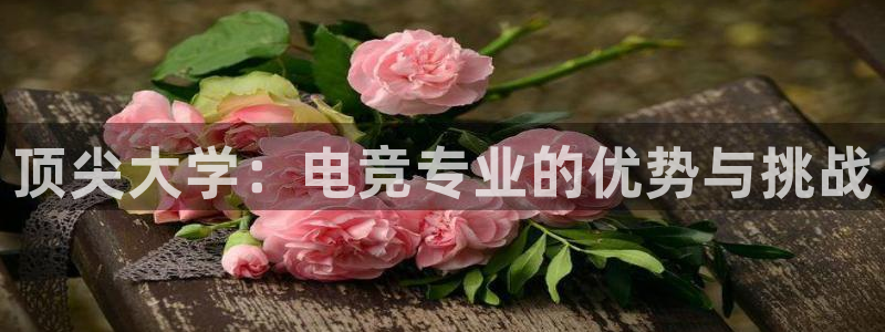 易游电竞：顶尖大学：电竞专业的优势与挑战