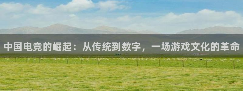易游电竞官网：中国电竞的崛起：从传统到数字，一场游戏文化的革命