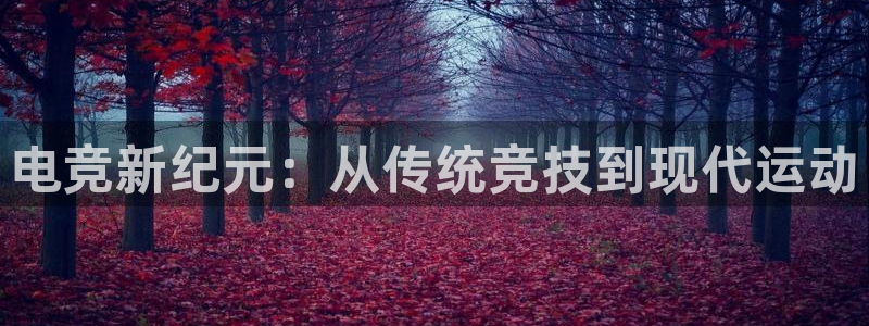 易游电竞：电竞新纪元：从传统竞技到现代运动