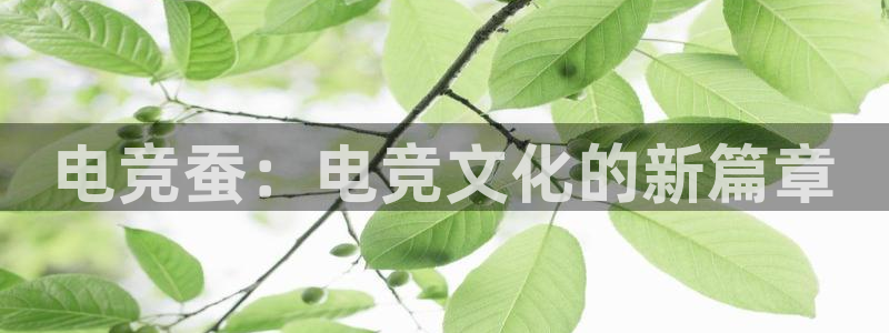 易游电竞官网：电竞蚕：电竞文化的新篇章