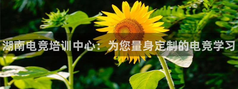 易游电竞官网：湖南电竞培训中心：为您量身定制的电竞学习