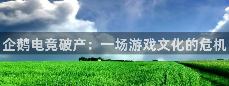 易游电竞官网：企鹅电竞破产：一场游戏文化的危机