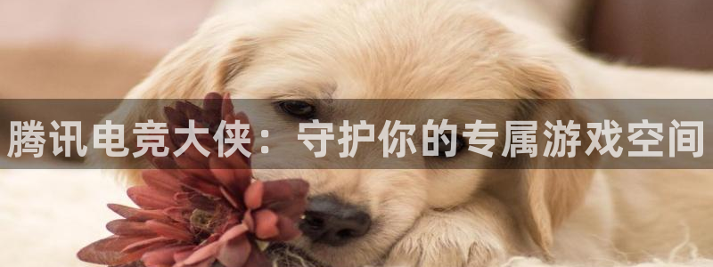易游电竞：腾讯电竞大侠：守护你的专属游戏空间