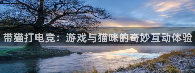 易游电竞官网：带猫打电竞：游戏与猫咪的奇妙互动体验