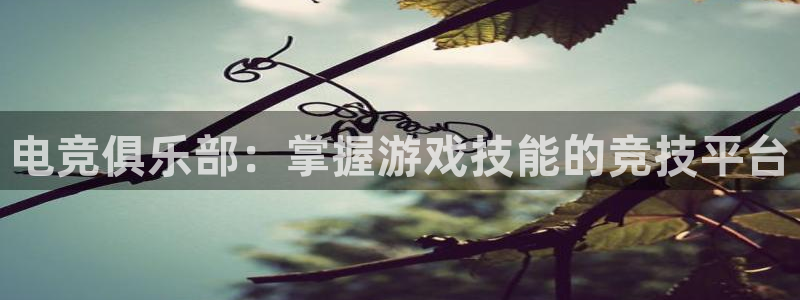 易游电竞官网：电竞俱乐部：掌握游戏技能的竞技平台