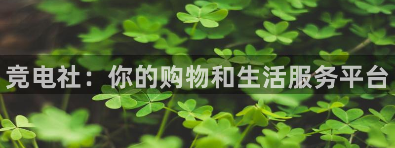 易游电竞：竞电社：你的购物和生活服务平台
