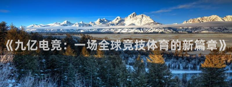 易游电竞：《九亿电竞：一场全球竞技体育的新篇章》