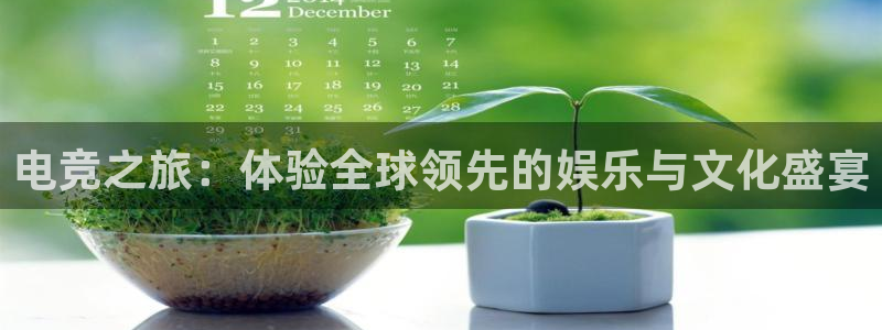 易游电竞：电竞之旅：体验全球领先的娱乐与文化盛宴