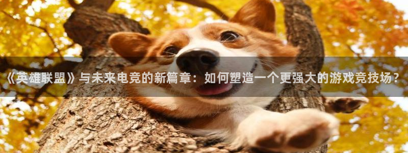 易游电竞官网：《英雄联盟》与未来电竞的新篇章：如何塑造一个更强大的游戏竞技场？