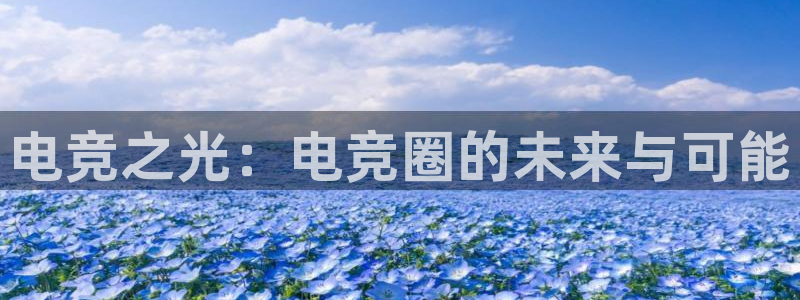 易游电竞：电竞之光：电竞圈的未来与可能