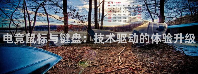 易游电竞官网：电竞鼠标与键盘：技术驱动的体验升级
