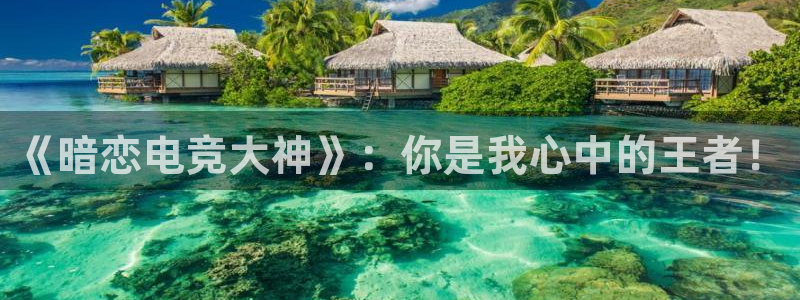 易游电竞官网：《暗恋电竞大神》：你是我心中的王者！