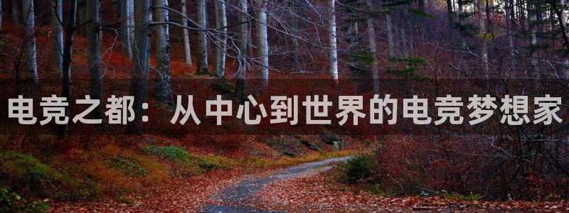 易游电竞官网：电竞之都：从中心到世界的电竞梦想家