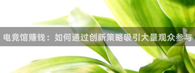 易游电竞：电竞馆赚钱：如何通过创新策略吸引大量观众参与