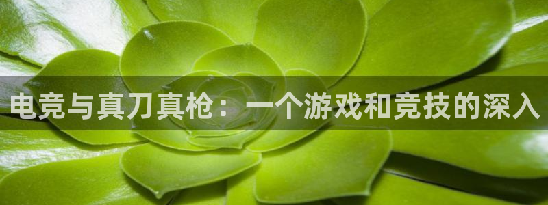 易游电竞官网：电竞与真刀真枪：一个游戏和竞技的深入
