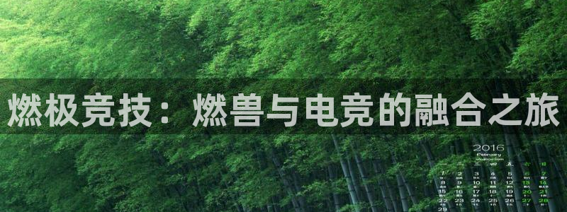 易游电竞官网：燃极竞技：燃兽与电竞的融合之旅
