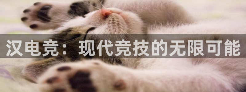 易游电竞官网：汉电竞：现代竞技的无限可能