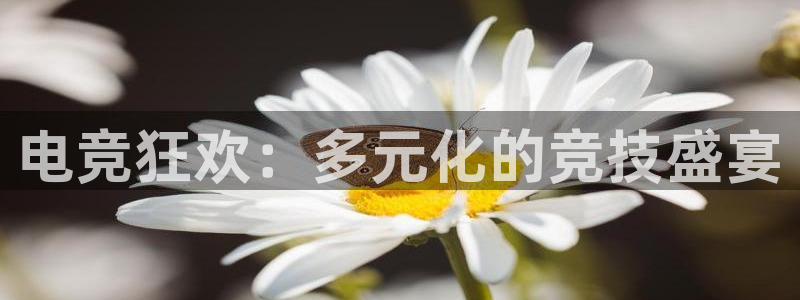 易游电竞：电竞狂欢：多元化的竞技盛宴